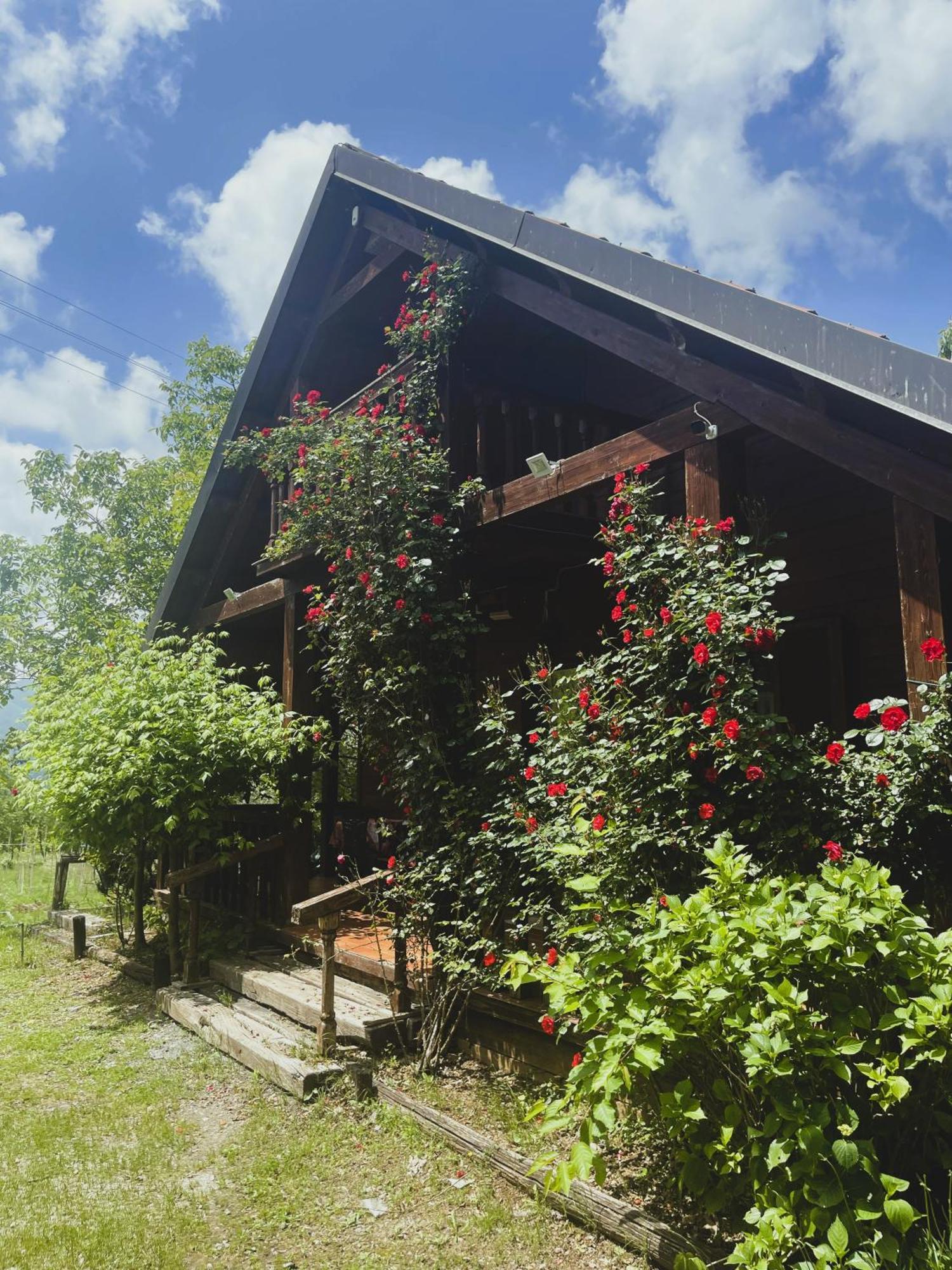 Agriturismo La Locanda Del Parco Morano Calabro Exterior foto