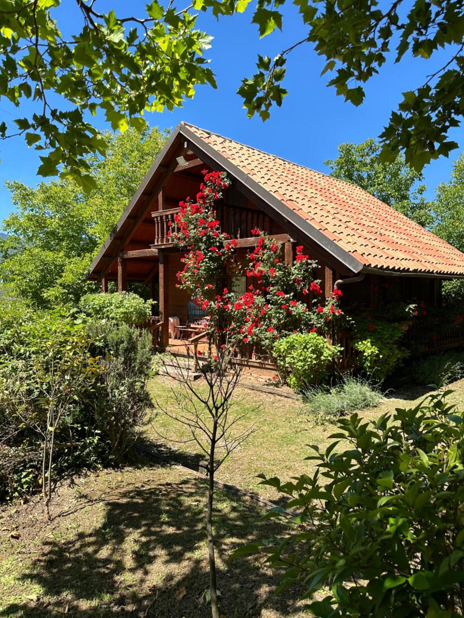 Agriturismo La Locanda Del Parco Morano Calabro Exterior foto